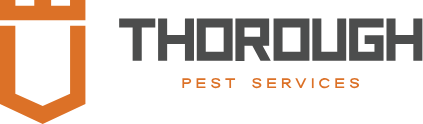 thorogh--logo-full-color-rgb (3) (1)
